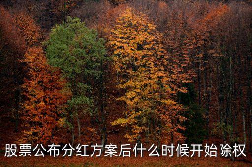 股票公布分紅方案后什么時(shí)候開始除權(quán)