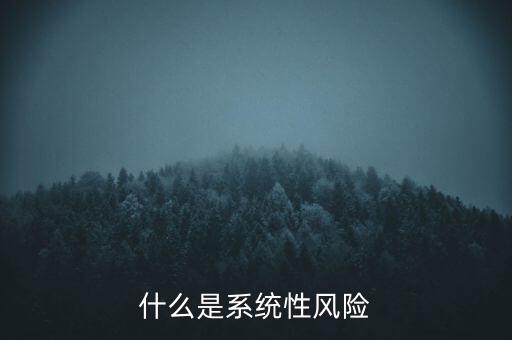 什么是系統(tǒng)性區(qū)域性風(fēng)險，什么是系統(tǒng)性風(fēng)險與區(qū)域性風(fēng)險