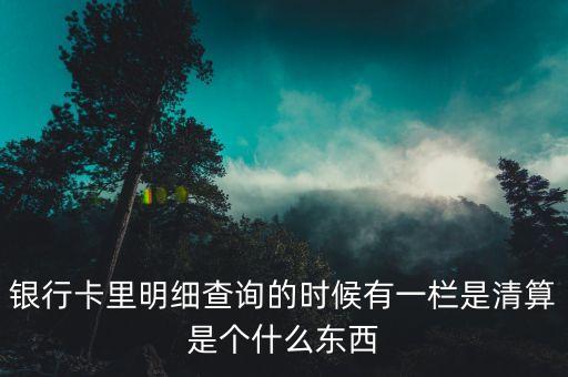 什么是銀行卡清算，銀行卡里明細(xì)查詢的時候有一欄是清算是個什么東西