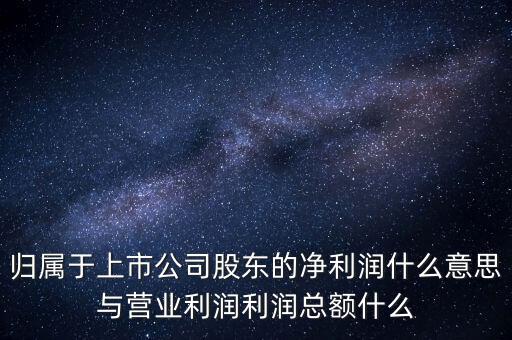 股票凈利潤是什么意思，每股資本公積主營收入每股未分利潤凈利潤什么意思