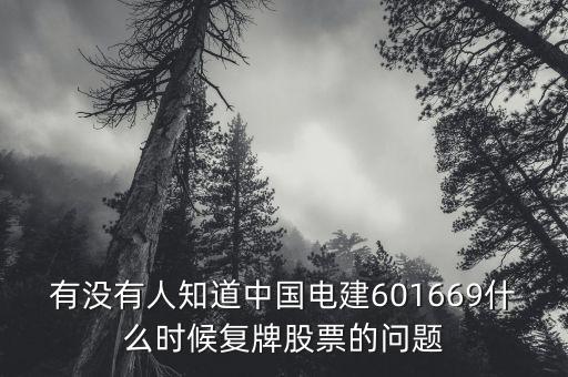 有沒(méi)有人知道中國(guó)電建601669什么時(shí)候復(fù)牌股票的問(wèn)題