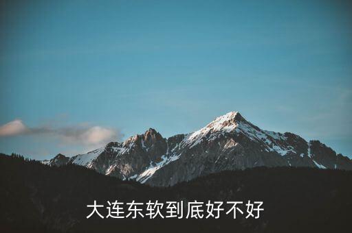 大連東軟集團(tuán)為什么都評(píng)論它不好，大連東軟怎么樣呀為什么有些人說(shuō)那不好呢能詳細(xì)說(shuō)說(shuō)么