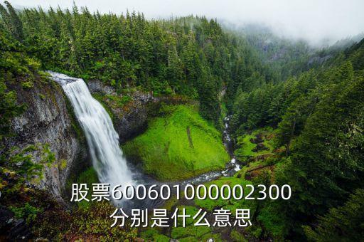 股票600601000002300分別是什么意思