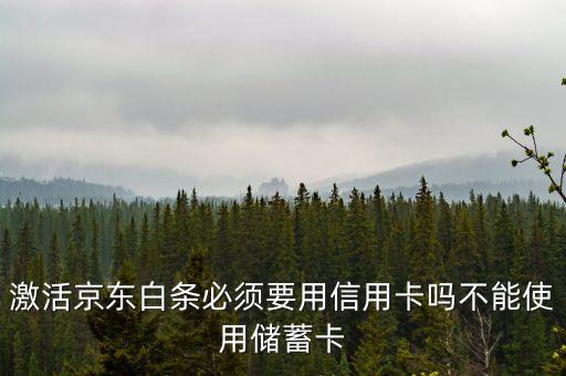 京東白條要什么銀行卡，京東打白條一定要信用卡嗎儲蓄卡不能用嗎