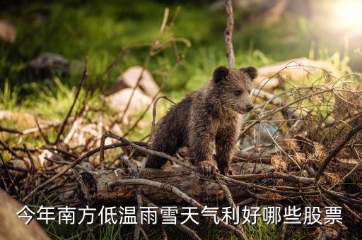 降溫降雪什么股票漲，寒冬對個股影響今年冬天非常寒冷在股市那些股票會大漲