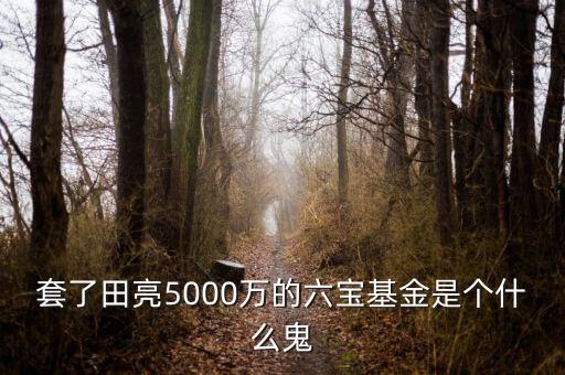 六寶并購基金投資什么項(xiàng)目，套了田亮5000萬的六寶基金是個什么鬼