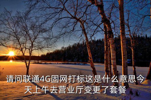 請(qǐng)問(wèn)聯(lián)通4G固網(wǎng)打標(biāo)這是什么意思今天上午去營(yíng)業(yè)廳變更了套餐