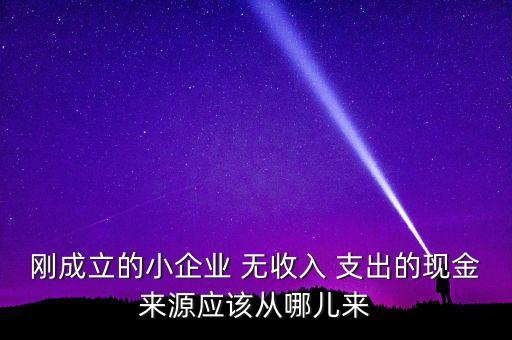 小企業(yè)主為什么沒(méi)現(xiàn)金，剛成立的小企業(yè) 無(wú)收入 支出的現(xiàn)金來(lái)源應(yīng)該從哪兒來(lái)