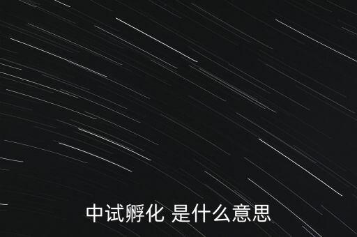 中試孵化是什么意思，中試孵化 是什么意思