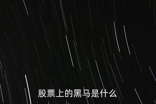 股票黑馬什么意思，股市上的黑馬是什么意思