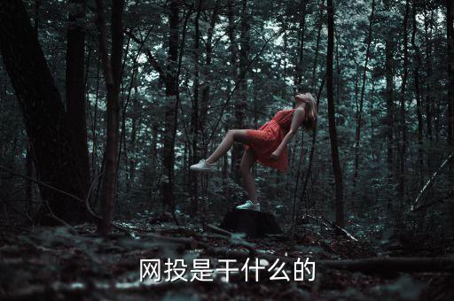 給網(wǎng)站投錢是什么投資，網(wǎng)投是干什么的