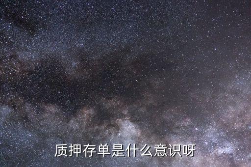 質(zhì)押存單是什么意識呀