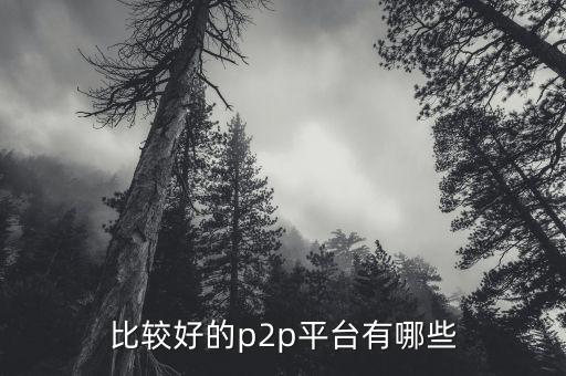 什么p2p平臺(tái)比較靠譜，請(qǐng)問(wèn)國(guó)內(nèi)P2P平臺(tái)哪家比較安全可靠點(diǎn)想了解下