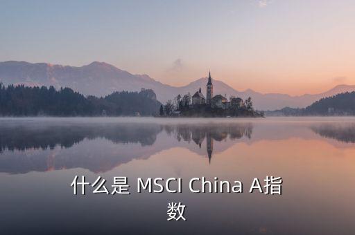 什么是 MSCI China A指數(shù)