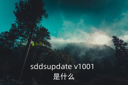 sddsupdate v1001 是什么