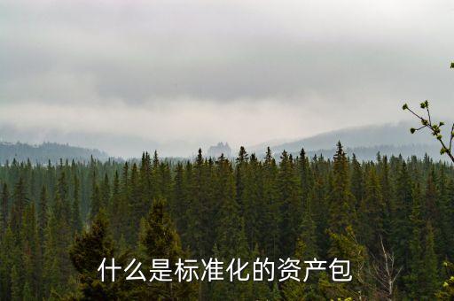 什么屬于標(biāo)準(zhǔn)化資產(chǎn)，標(biāo)準(zhǔn)化資產(chǎn) 什么是標(biāo)準(zhǔn)化資產(chǎn)