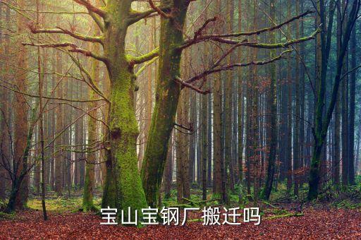 寶鋼大院為什么不搬，上海寶鋼集團公司準(zhǔn)備搬往何處