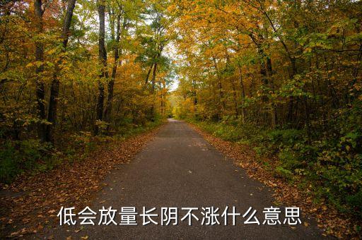 低會(huì)放量長(zhǎng)陰不漲什么意思