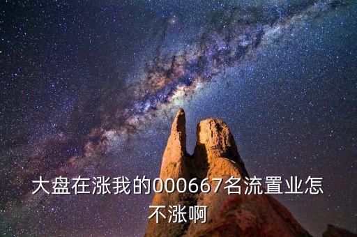 000667基金為什么不漲，大盤在漲我的000667名流置業(yè)怎不漲啊