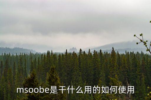 msoobe是干什么用的如何使用