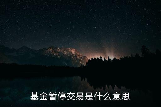 基金停止交易代表什么，基金停止交易是什么意思