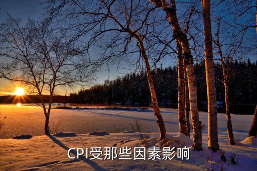 CPI受那些因素影響