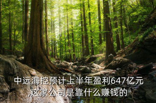  中遠(yuǎn)海控預(yù)計上半年盈利647億元,這家公司是靠什么賺錢的