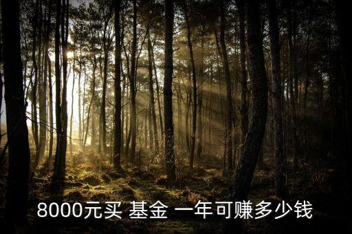 炒基金一年收益,100萬基金一年收益多少