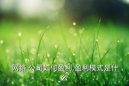  網(wǎng)絡(luò) 公司如何盈利,盈利模式是什么