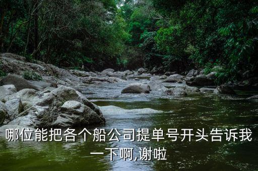 哪位能把各個船公司提單號開頭告訴我一下啊,謝啦