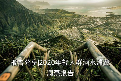 報(bào)告分享|2020年輕人群酒水消費(fèi)洞察報(bào)告