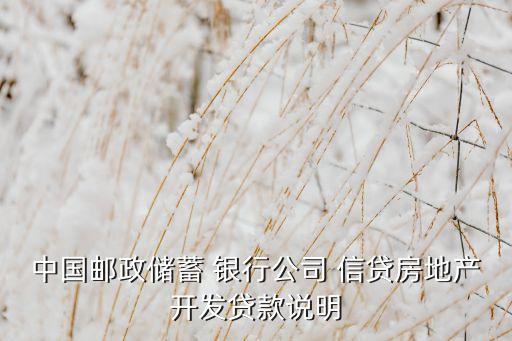 中國郵政儲(chǔ)蓄 銀行公司 信貸房地產(chǎn)開發(fā)貸款說明