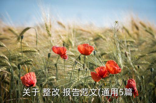 公司網(wǎng)站整改報告,年報、公司報告及公司網(wǎng)站