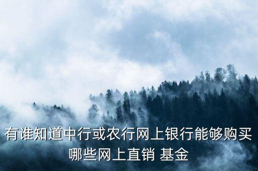 有誰知道中行或農(nóng)行網(wǎng)上銀行能夠購買哪些網(wǎng)上直銷 基金