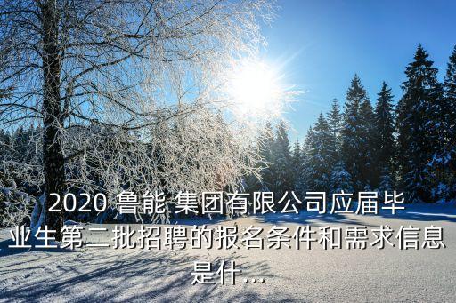 2020 魯能 集團有限公司應(yīng)屆畢業(yè)生第二批招聘的報名條件和需求信息是什...