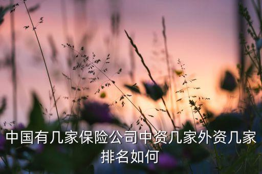 中國(guó)與英美各友邦