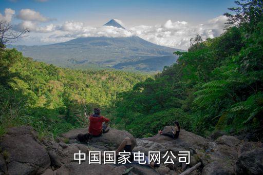 上海市電力交易規(guī)則,山東省電力現貨市場交易規(guī)則(試行)