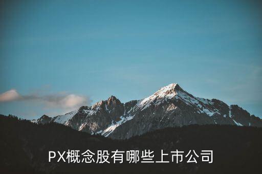 PX概念股有哪些上市公司