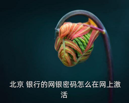  北京 銀行的網(wǎng)銀密碼怎么在網(wǎng)上激活