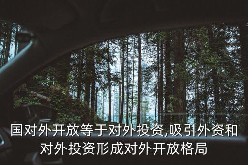 在我國對外開放等于對外投資,吸引外資和對外投資形成對外開放格局