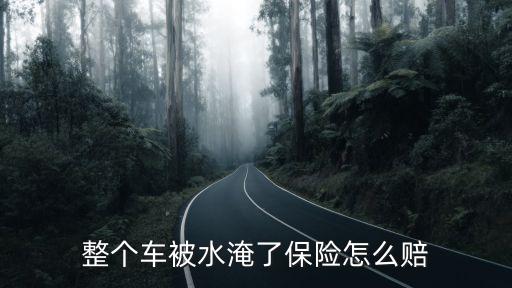 洪水淹車保險(xiǎn)公司賠嗎,汽車被洪水淹了保險(xiǎn)公司賠多少錢