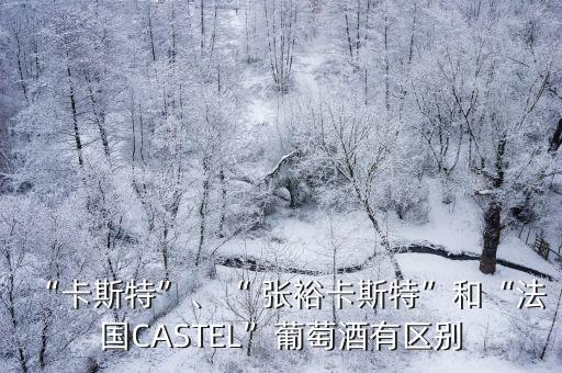 “卡斯特”、“ 張?？ㄋ固亍焙汀胺▏鳦ASTEL”葡萄酒有區(qū)別