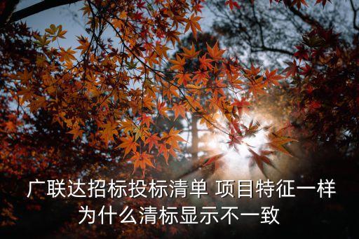 上海廣聯(lián)達(dá)項(xiàng)目,廣聯(lián)達(dá)項(xiàng)目特征內(nèi)容怎么添加