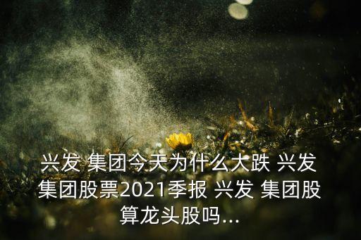  興發(fā) 集團(tuán)今天為什么大跌 興發(fā) 集團(tuán)股票2021季報(bào) 興發(fā) 集團(tuán)股算龍頭股嗎...