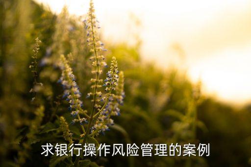 求銀行操作風(fēng)險管理的案例