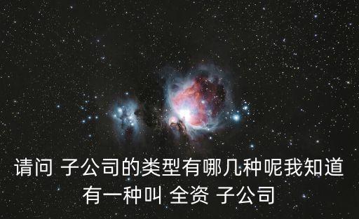 請(qǐng)問 子公司的類型有哪幾種呢我知道有一種叫 全資 子公司