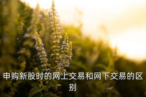 申購新股時的網(wǎng)上交易和網(wǎng)下交易的區(qū)別