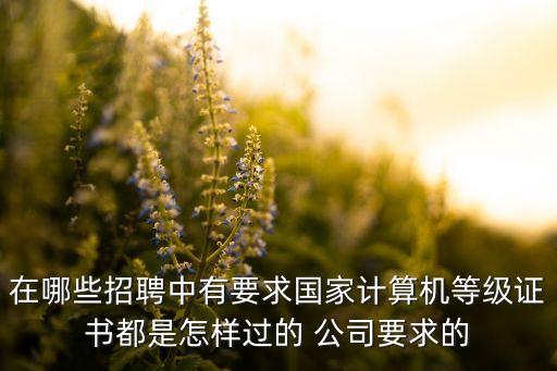 在哪些招聘中有要求國家計算機(jī)等級證書都是怎樣過的 公司要求的