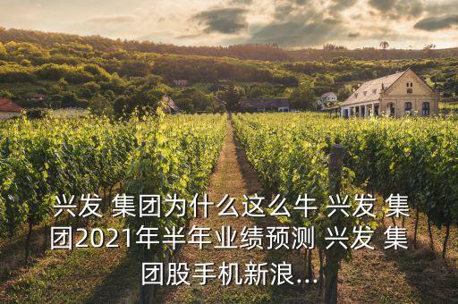  興發(fā) 集團(tuán)為什么這么牛 興發(fā) 集團(tuán)2021年半年業(yè)績預(yù)測(cè) 興發(fā) 集團(tuán)股手機(jī)新浪...