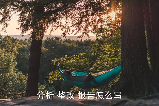 分析 整改 報告怎么寫